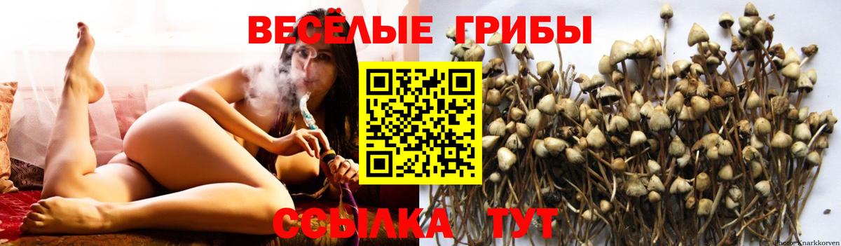 Мефедрон   Кокаин  Канабис  МЕТ  Гашиш  Озёры  Вход с VPN 
